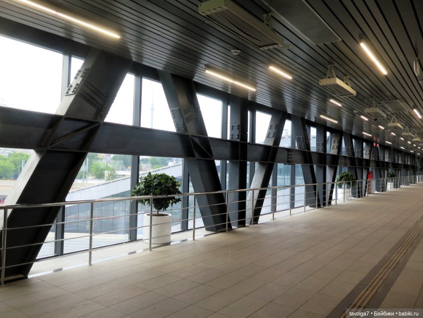 Remco 1964 + Popo Milk 2024