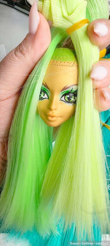 О цветах и выборе — Болталка и разговоры обо всем: жизнь