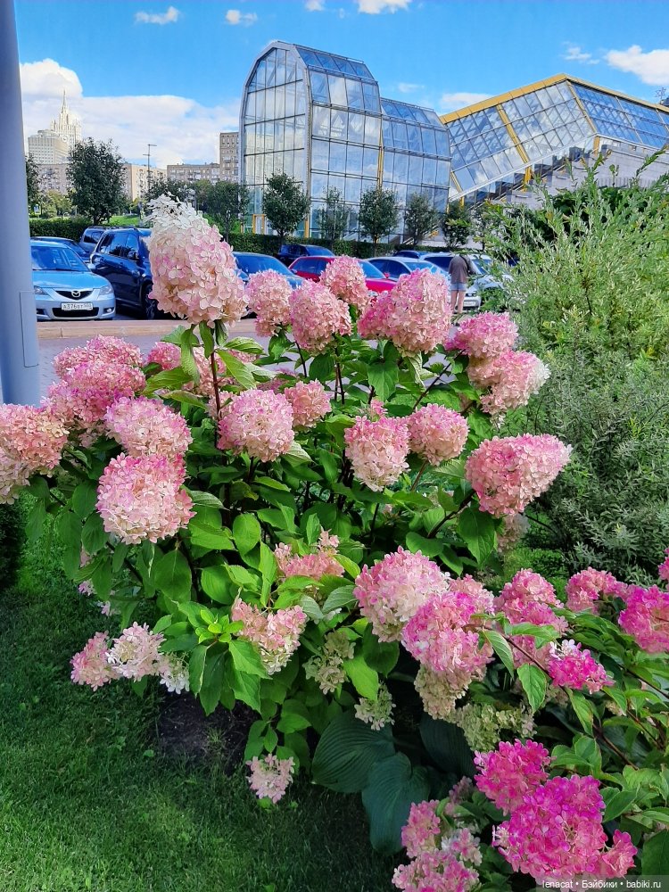 Doll market - мой кукольный рай. Фото репортаж. Часть 2