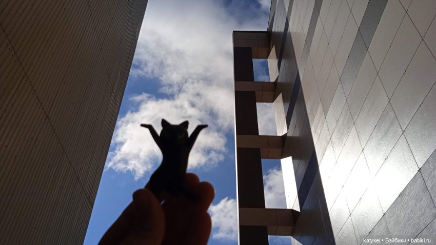 День благодарности чёрным котам 2025 (фото 6)