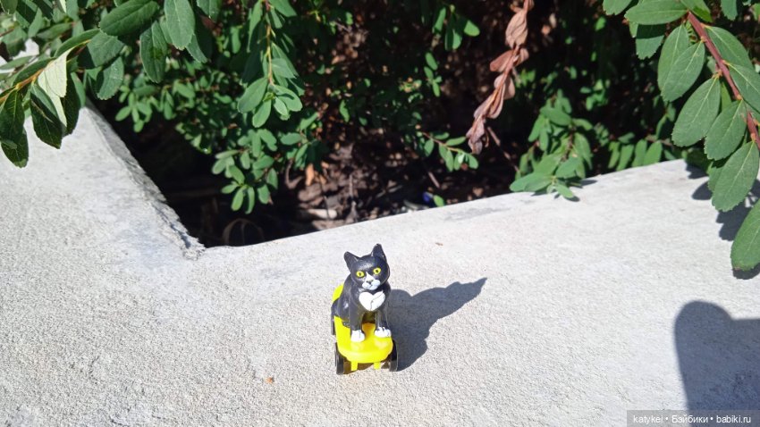 День благодарности чёрным котам 2025