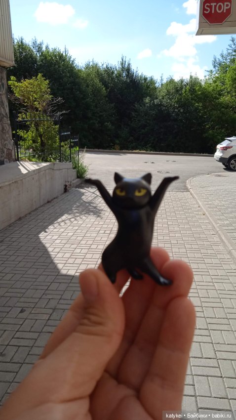 День благодарности чёрным котам 2025 (фото 7)