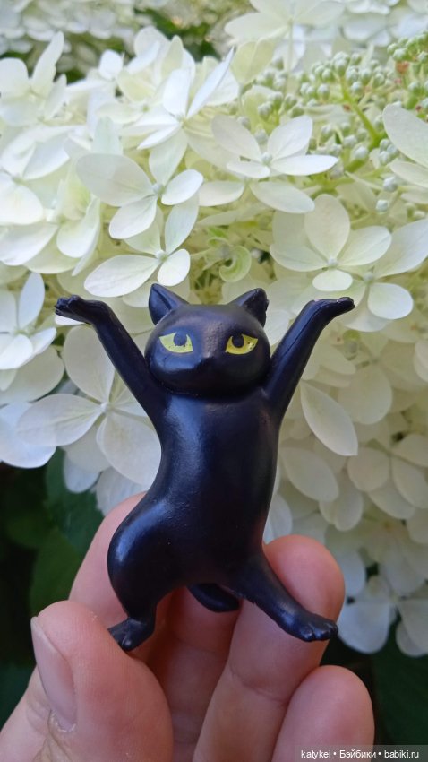 День благодарности чёрным котам 2025 (фото 2)