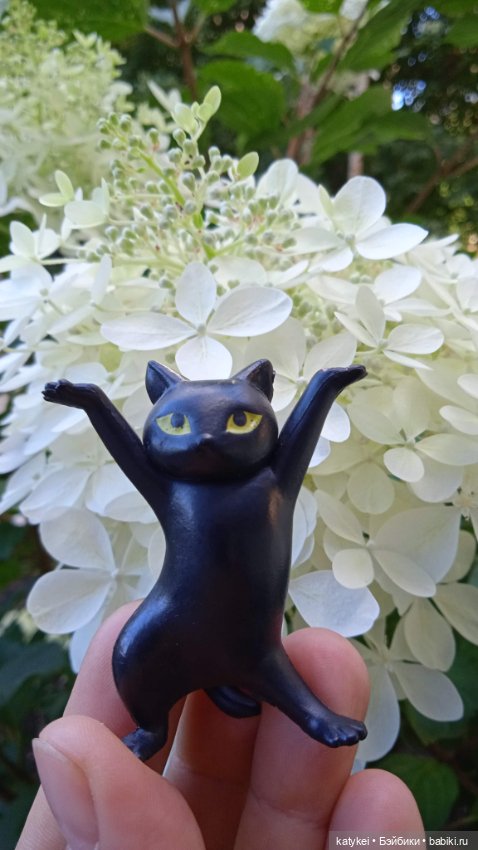 День благодарности чёрным котам 2025 (фото 3)