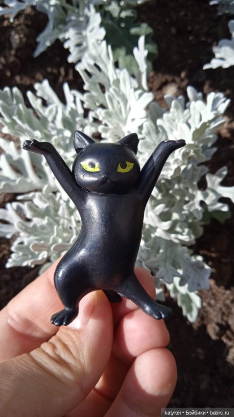 День благодарности чёрным котам 2025 (фото 8)