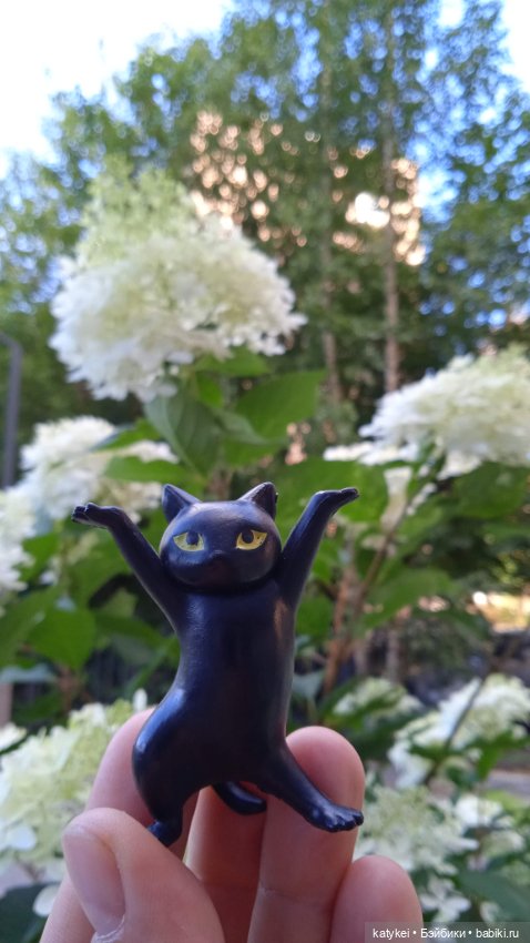 День благодарности чёрным котам 2025 (фото 5)