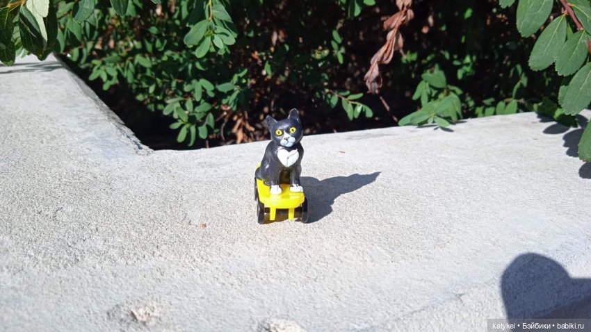 День благодарности чёрным котам 2025