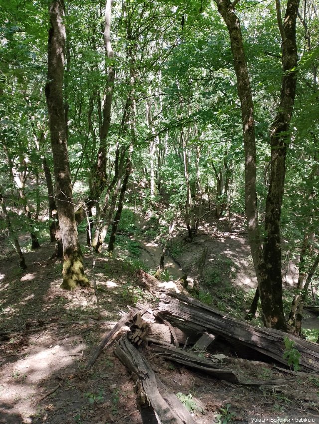 Мы с Лариской в заповеднике (фото 5)