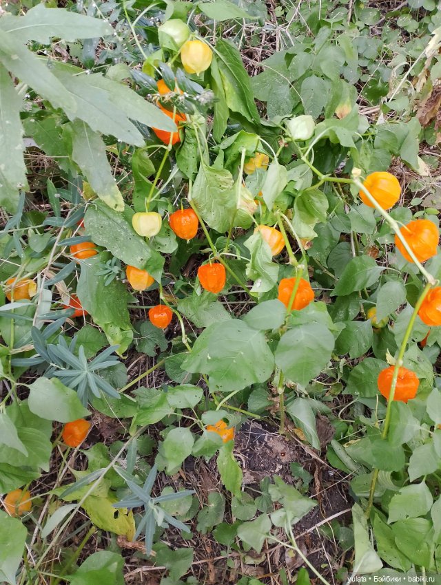 Мы с Лариской в заповеднике (фото 7)