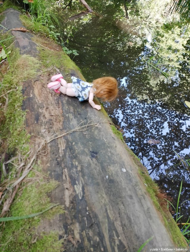 Мы с Лариской в заповеднике (фото 9)