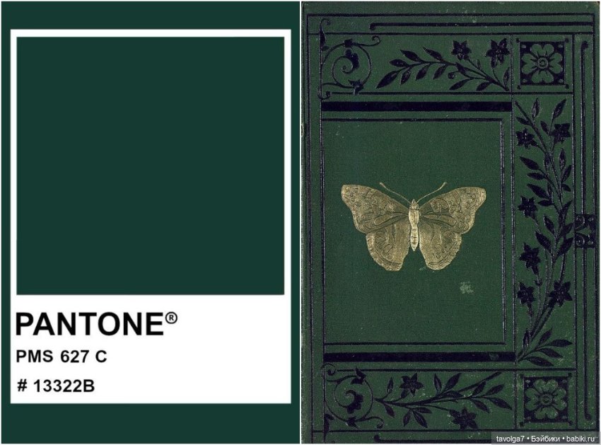 Сказочный зелёный августа (фото 3)