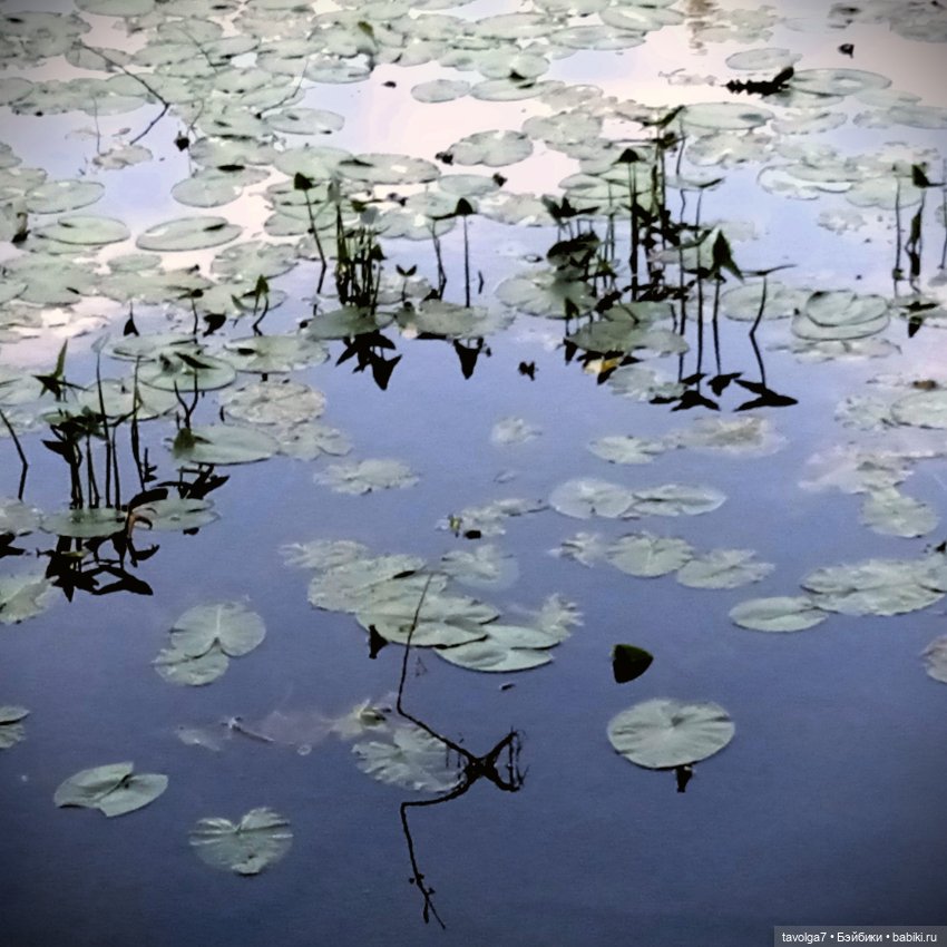 Ювелирные зарисовки лето 2025