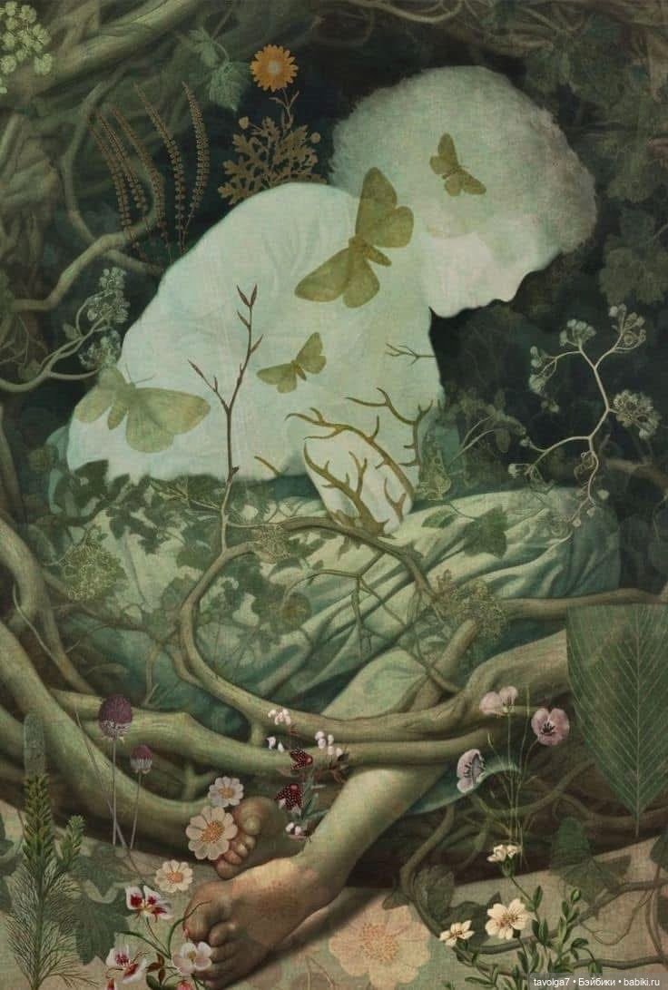 Сказочный зелёный августа