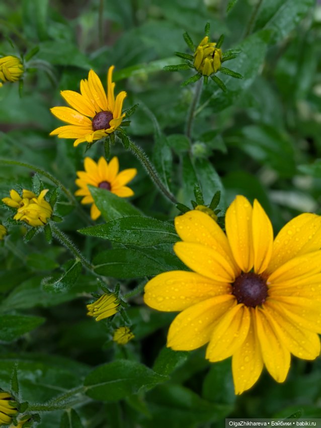 Любимая Алина от Dollstown