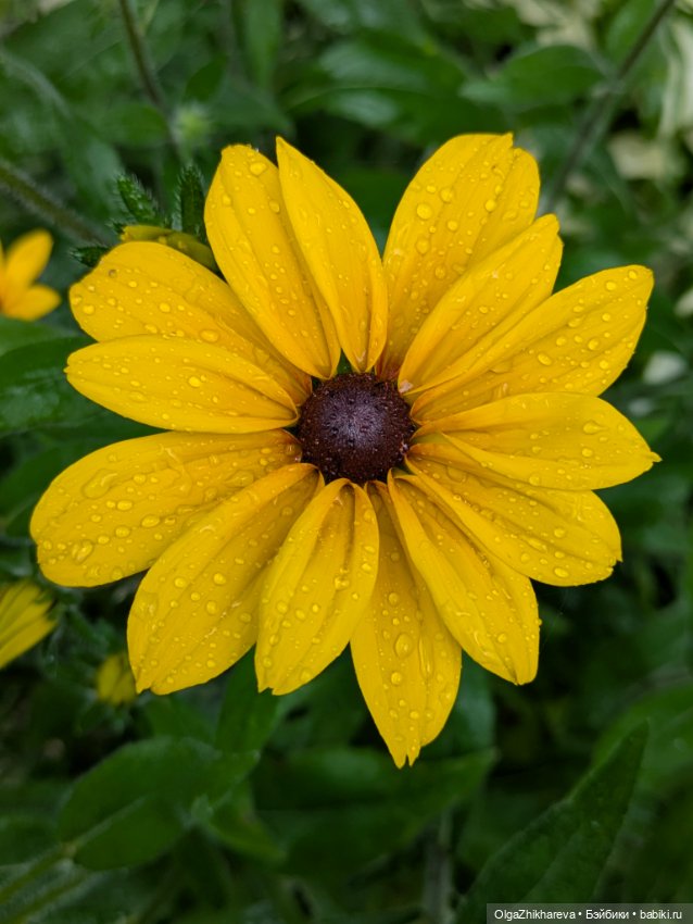 Любимая Алина от Dollstown