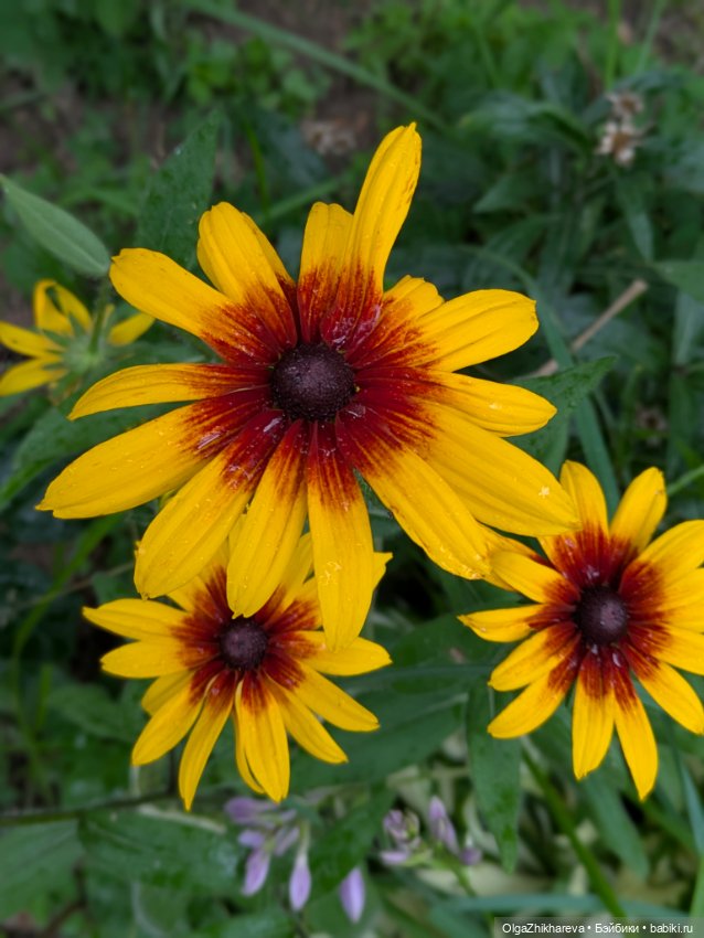 Любимая Алина от Dollstown