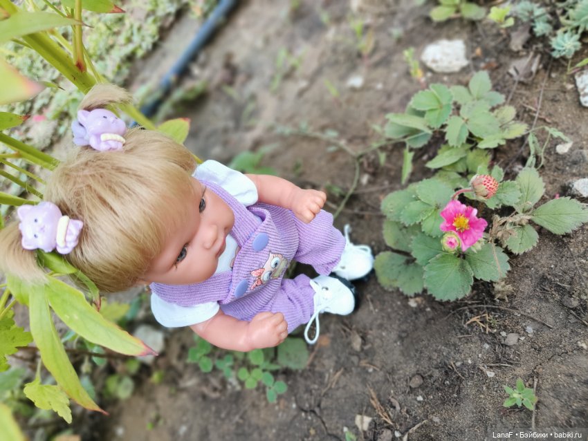 Элины обновки ( pepita пепита Antonio Huan)