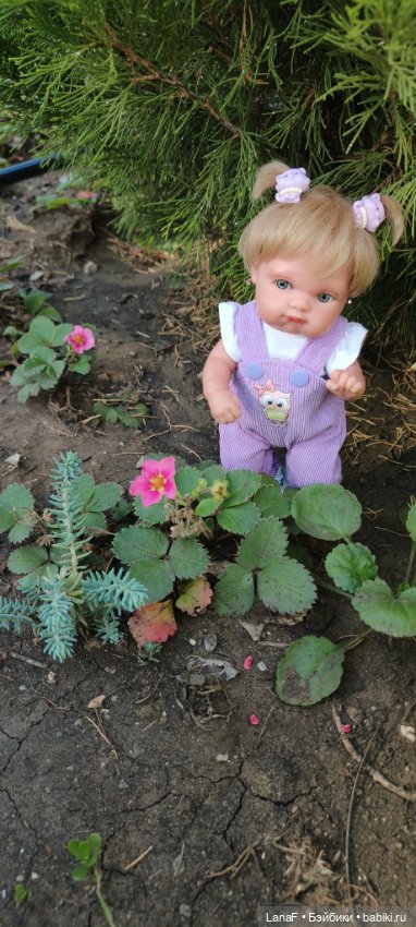 Элины обновки ( pepita пепита Antonio Huan) (фото 7)