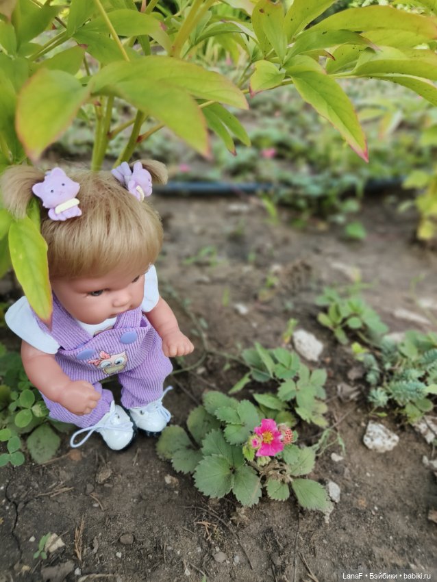 Элины обновки ( pepita пепита Antonio Huan)