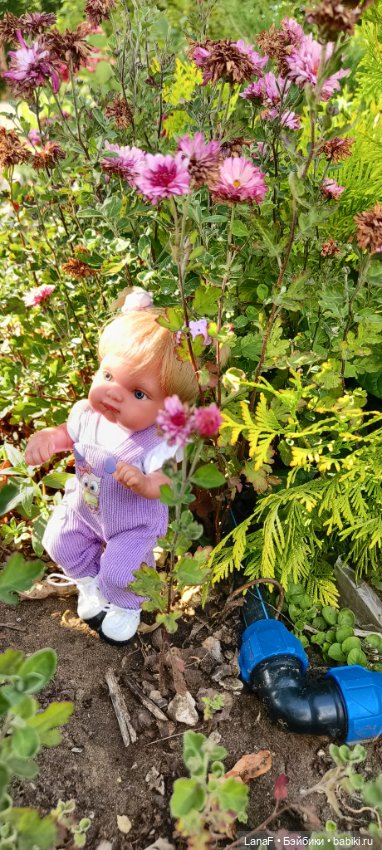 Элины обновки ( pepita пепита Antonio Huan) (фото 6)