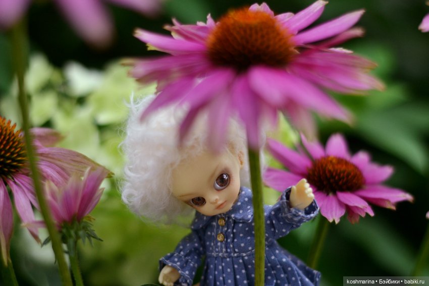 Моя самая вторая с половиной кукла