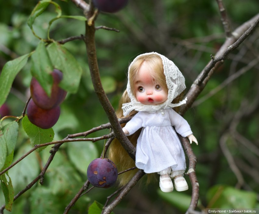 Сливы и покупки — Домашние фото авторских кукол: личные коллекции (фото 3)
