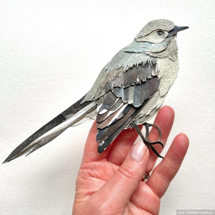 Живой мир от Sarah Suplina