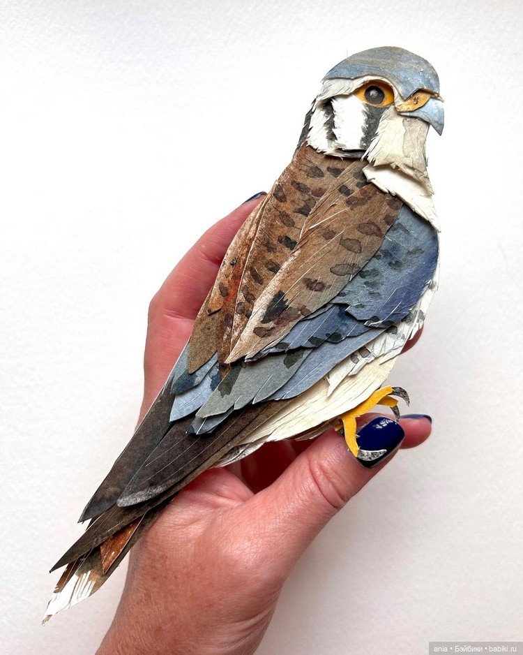 Живой мир от Sarah Suplina