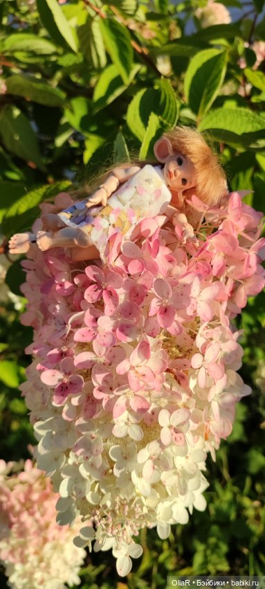 Королева Гортензия Метельчатая и "быстроплатье" для Мышуни 🐭 (фото 8)