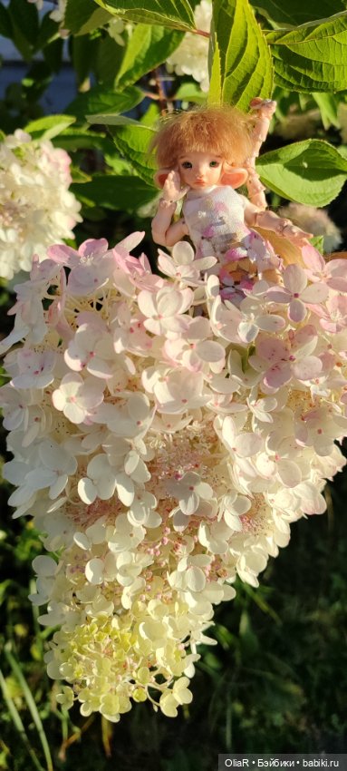 Королева Гортензия Метельчатая и "быстроплатье" для Мышуни 🐭 (фото 6)