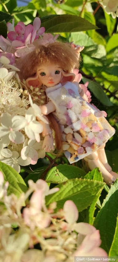 Королева Гортензия Метельчатая и "быстроплатье" для Мышуни 🐭