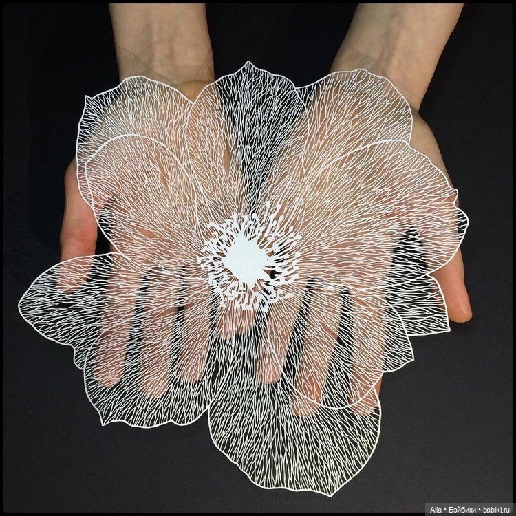 Работы из бумаги Maude White