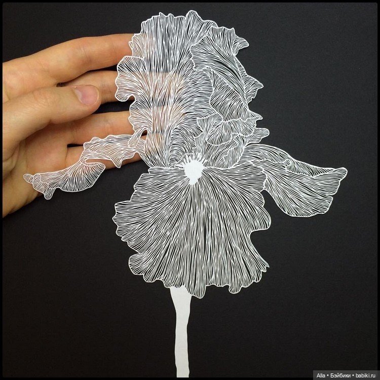 Работы из бумаги Maude White