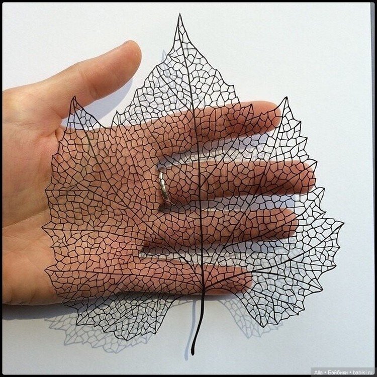 Работы из бумаги Maude White (фото 2)