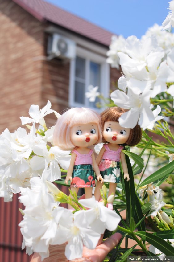 Летний отпуск с DoReMi — Азиатские виниловые куклы (разное): Китай