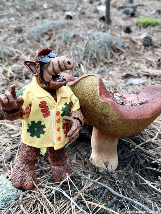 Гость с планеты Мелмак — Разные шарнирные куклы (не БЖД): редкие (фото 10)