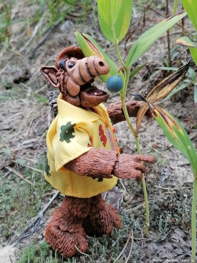 Гость с планеты Мелмак — Разные шарнирные куклы (не БЖД): редкие (фото 7)