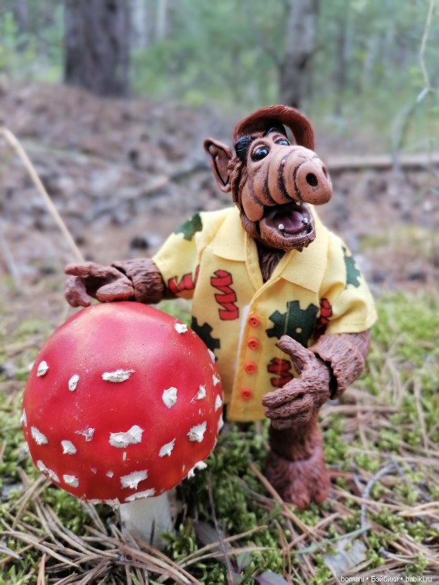 Гость с планеты Мелмак — Разные шарнирные куклы (не БЖД): редкие (фото 2)