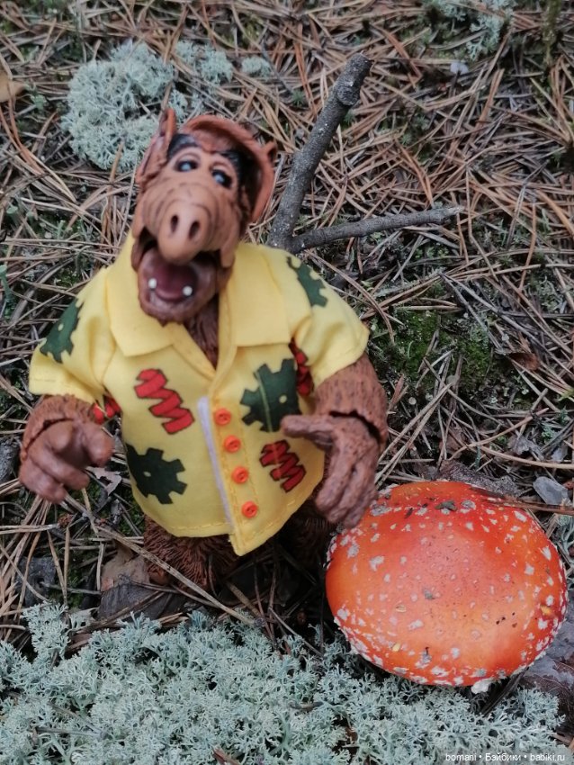 Гость с планеты Мелмак — Разные шарнирные куклы (не БЖД): редкие (фото 9)