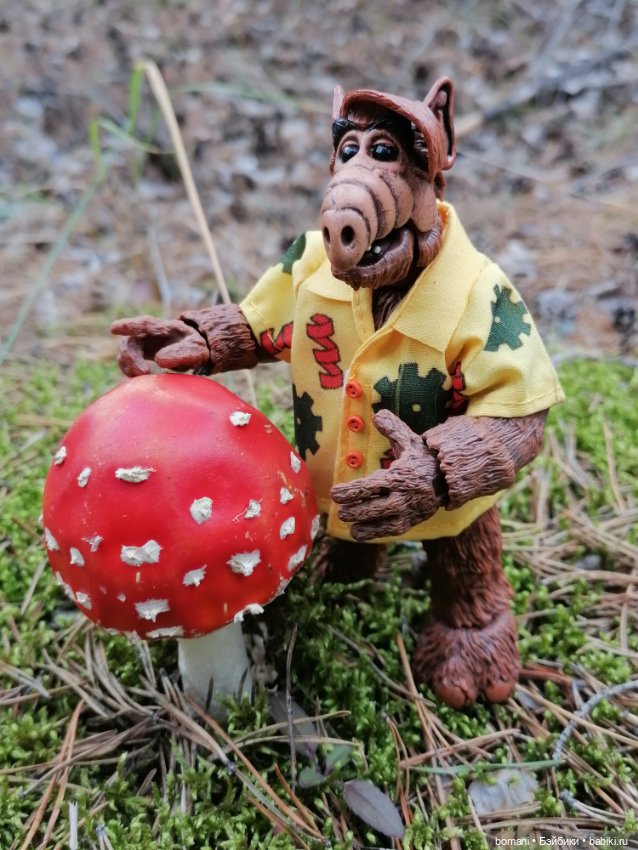 Гость с планеты Мелмак — Разные шарнирные куклы (не БЖД): редкие (фото 4)