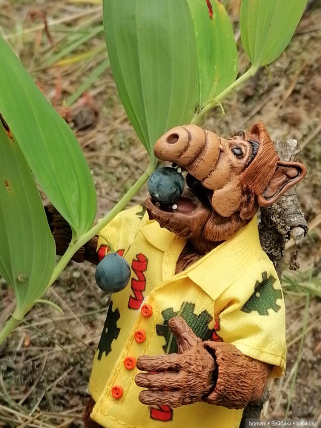 Гость с планеты Мелмак — Разные шарнирные куклы (не БЖД): редкие (фото 6)