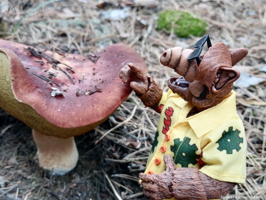 Гость с планеты Мелмак — Разные шарнирные куклы (не БЖД): редкие