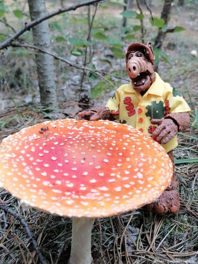 Гость с планеты Мелмак — Разные шарнирные куклы (не БЖД): редкие