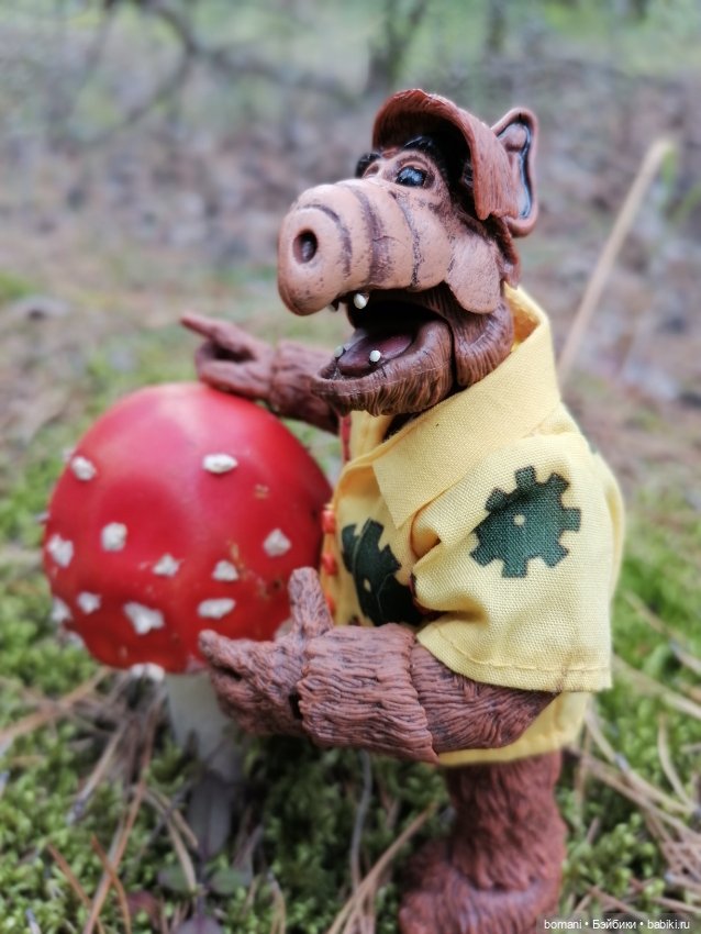 Гость с планеты Мелмак — Разные шарнирные куклы (не БЖД): редкие (фото 3)