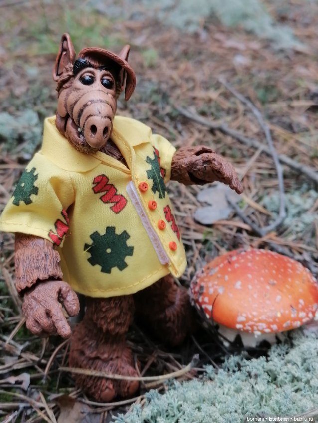 Гость с планеты Мелмак — Разные шарнирные куклы (не БЖД): редкие (фото 8)