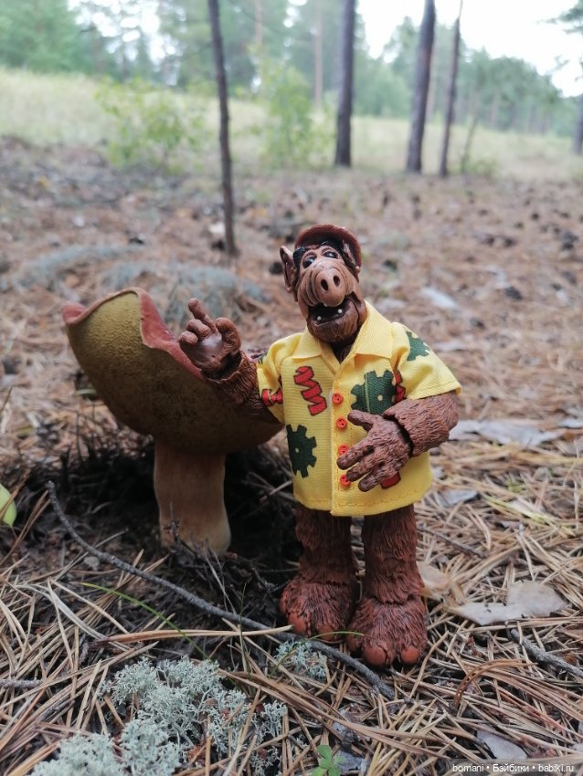 Гость с планеты Мелмак — Разные шарнирные куклы (не БЖД): редкие