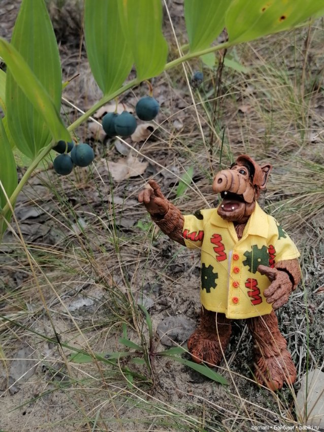 Гость с планеты Мелмак — Разные шарнирные куклы (не БЖД): редкие (фото 5)