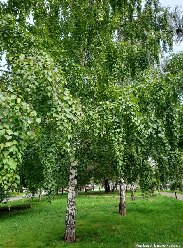 В погоне за сусликами,с паолкой(часть 4)