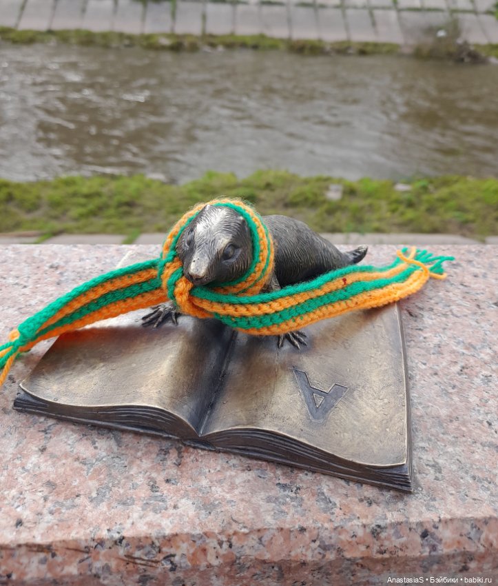 В погоне за сусликами,с паолкой(часть 4) (фото 9)