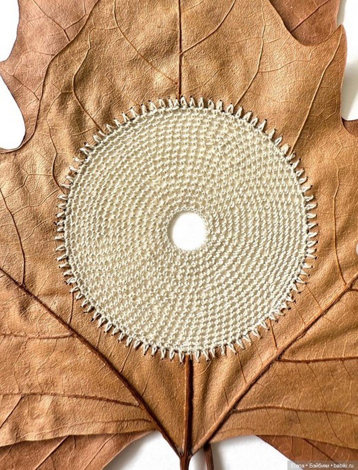 Листья Cюзанны Бауэр, Susanna Bauer (фото 5)